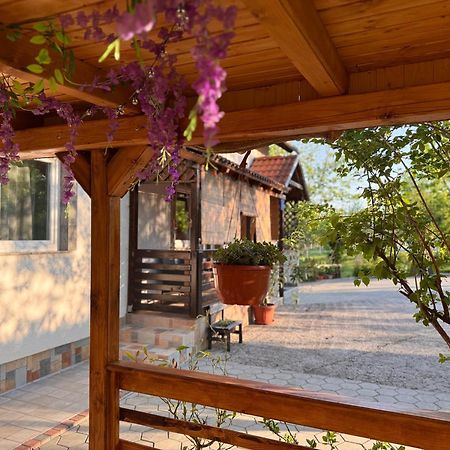 Apartment Liso Selište Drežničko Eksteriør bilde