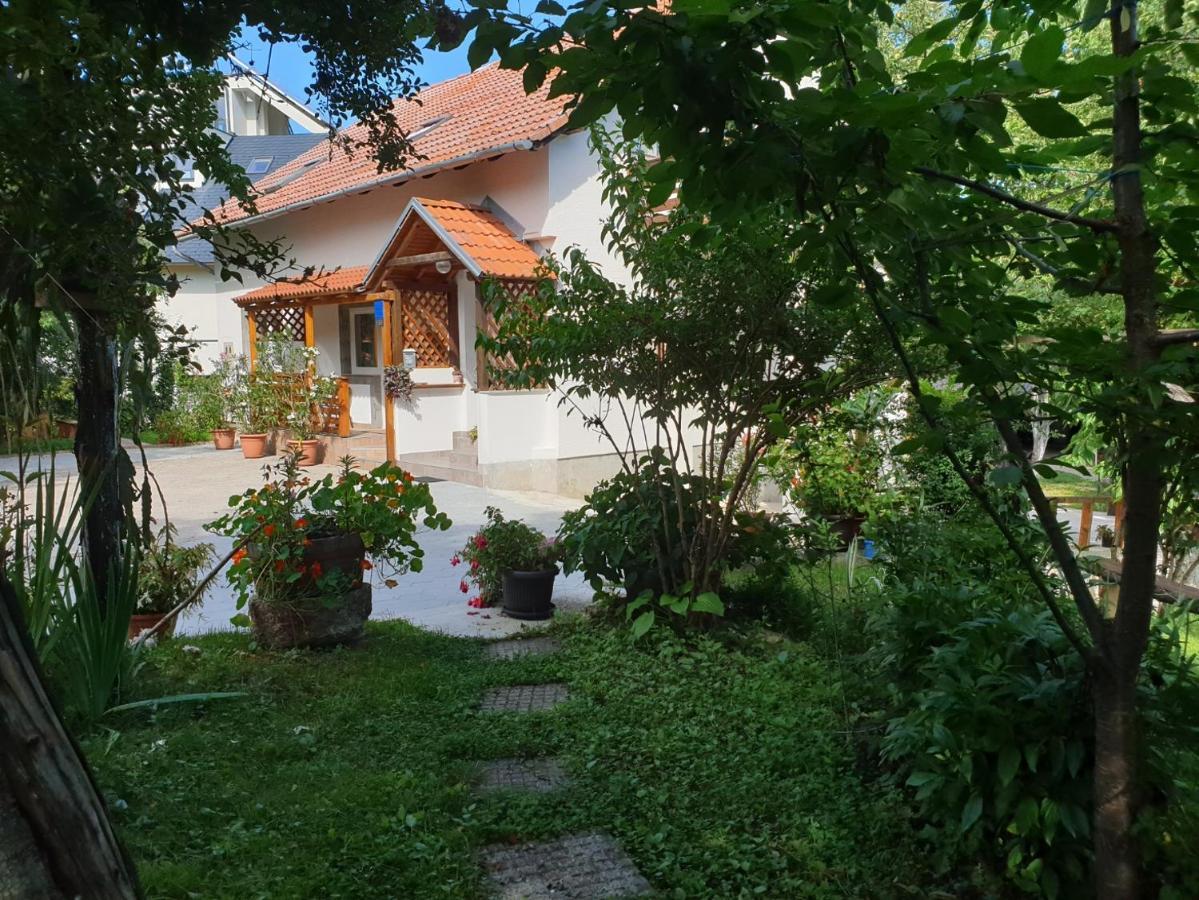 Apartment Liso Selište Drežničko Eksteriør bilde