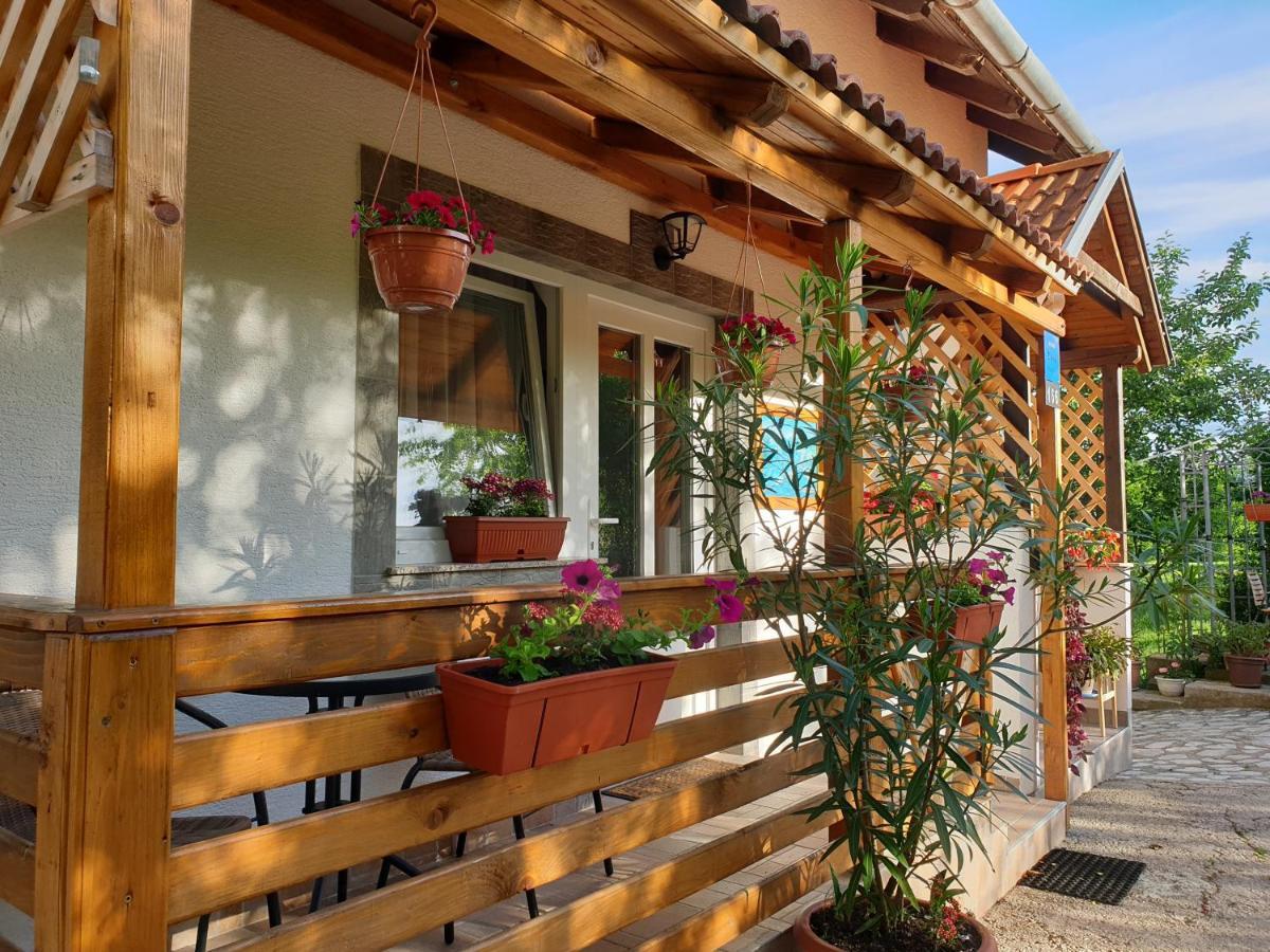 Apartment Liso Selište Drežničko Eksteriør bilde