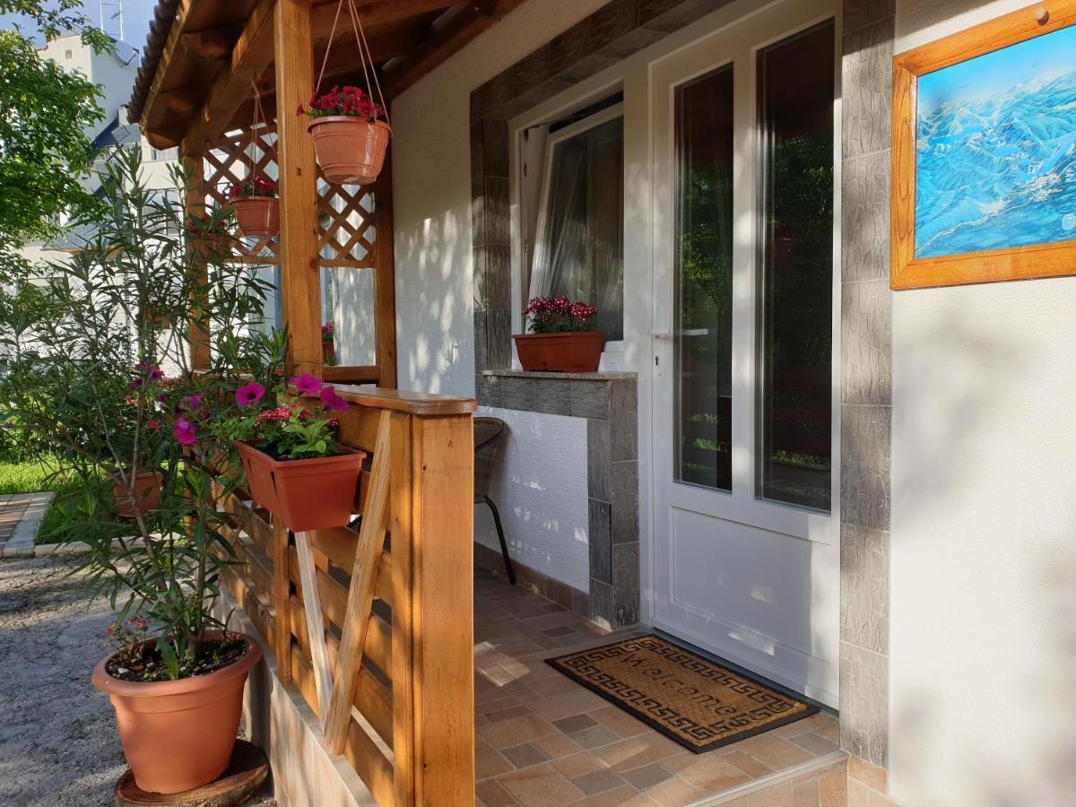 Apartment Liso Selište Drežničko Eksteriør bilde
